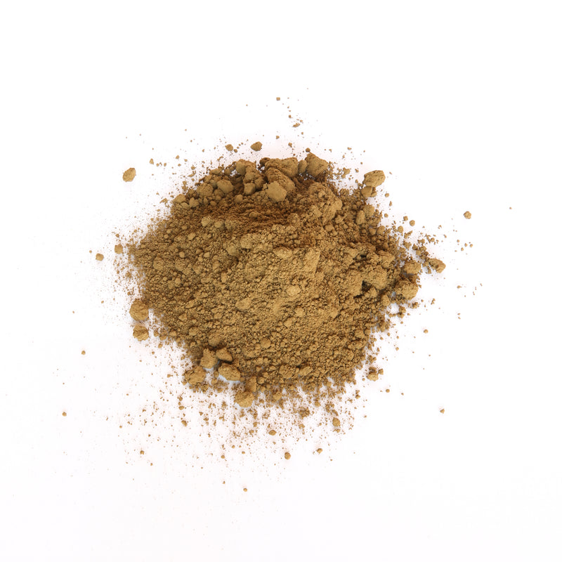 hojicha tea powder // roasted japanese green tea from uji